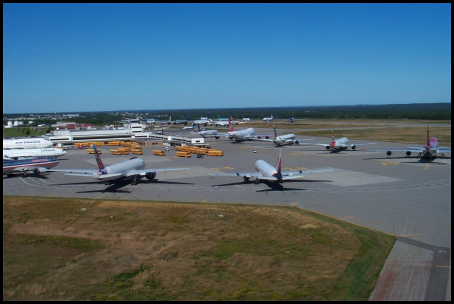 GANDER